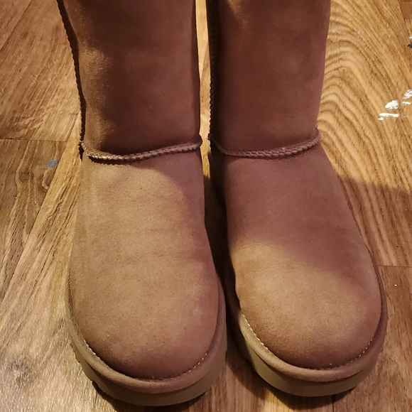 Brand new uggs - Picture 2 of 6